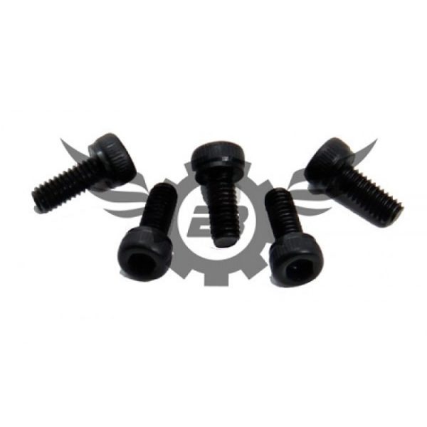 Synergy M2.5x8 Socket Head screws